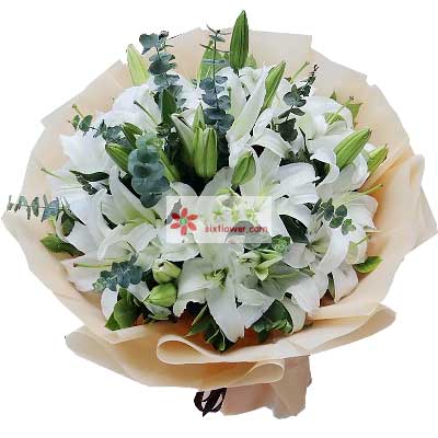 天津9支白色多头百合，祝福你幸福